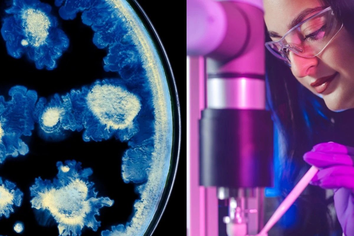 Ricerca L'Oréal e Institut Pasteur: coltura cellulare e scienziata al microscopio per la cura della pelle.